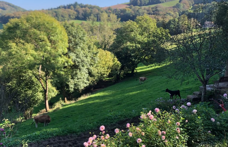 Natuurhuisje in Coupiac