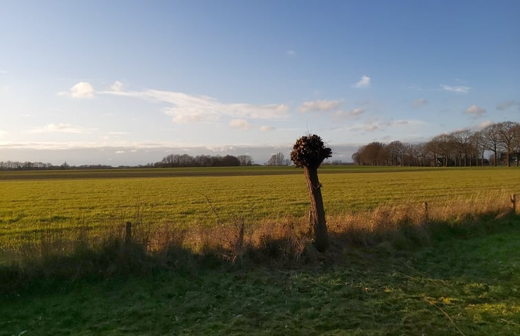 Natuurhuisje in Geesteren