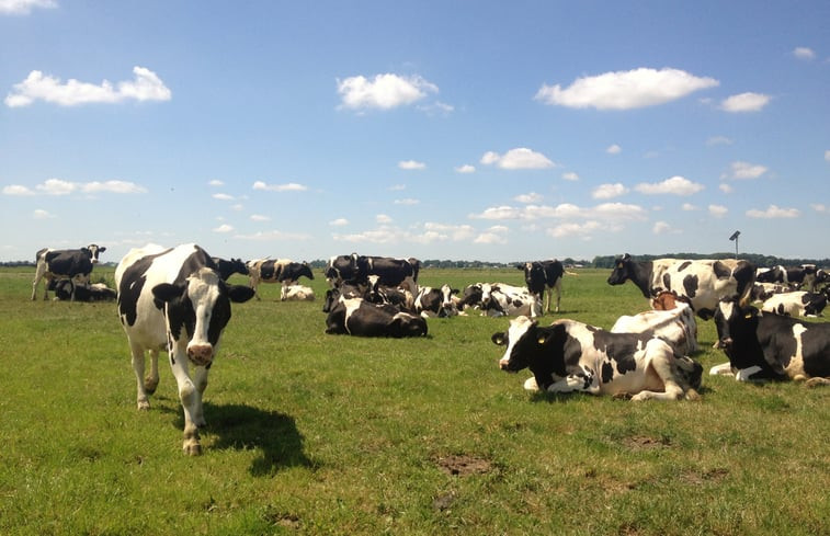 Natuurhuisje in Wezep/Oldebroek