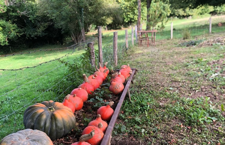 Natuurhuisje in Coupiac