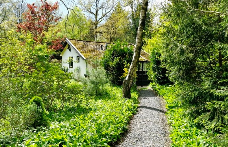 Natuurhuisje in Hooghalen