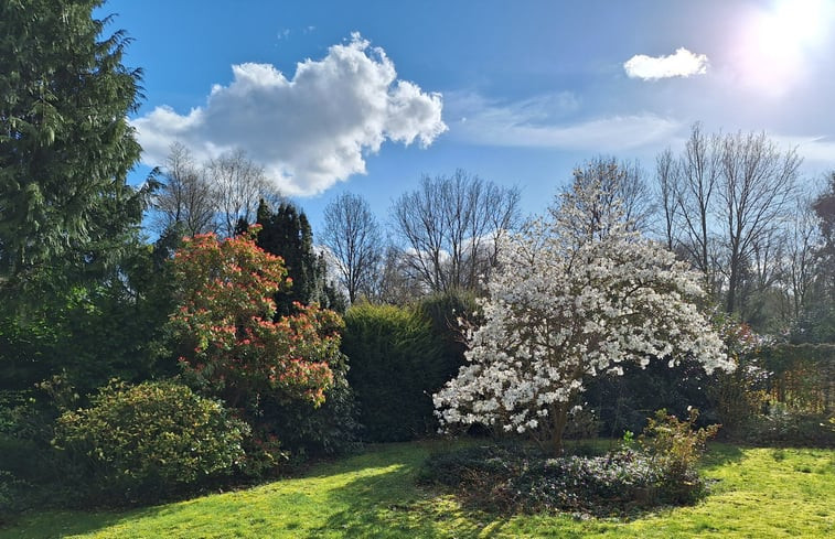 Natuurhuisje in Oude Willem