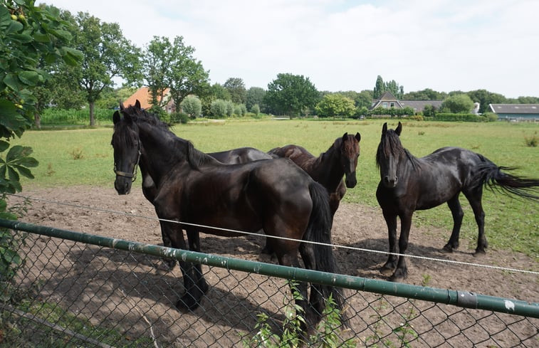 Natuurhuisje in Zandhuizen