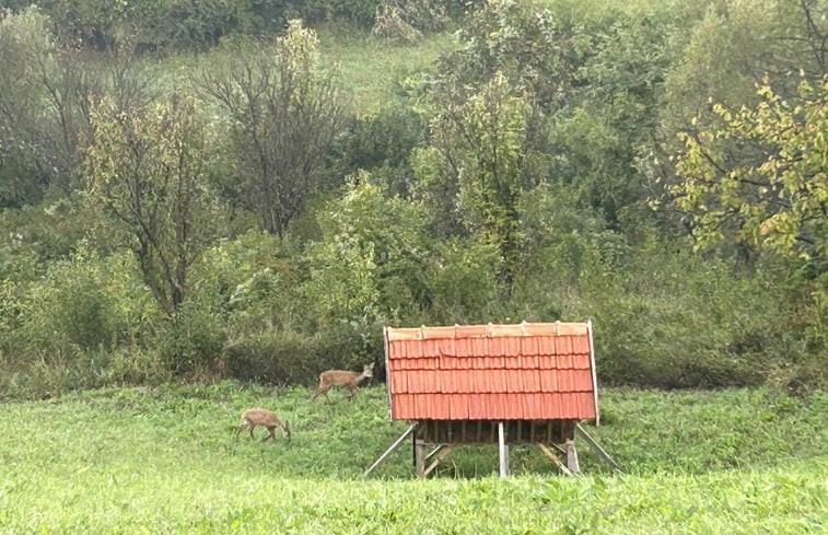 Natuurhuisje in Marija Gorica