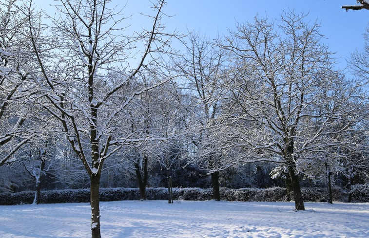 Natuurhuisje in Vijlen