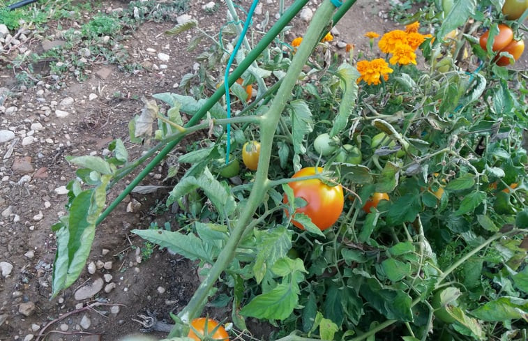 Natuurhuisje in Trikala Korinthias