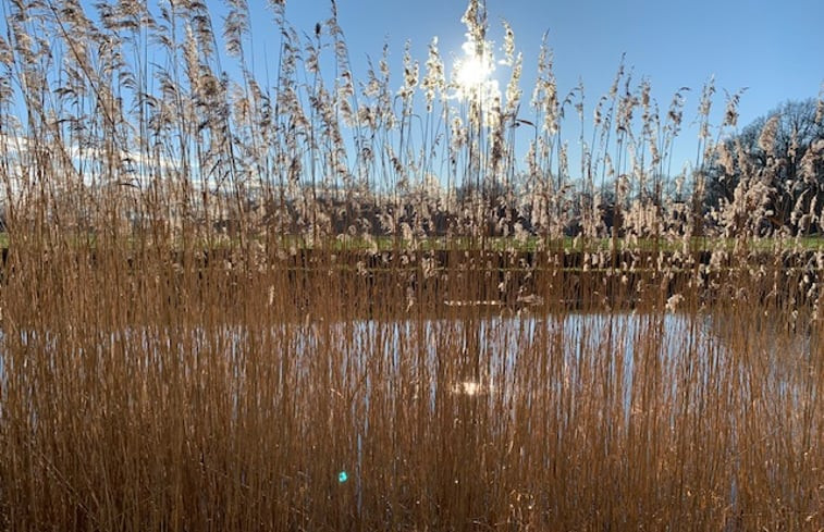 Natuurhuisje in Wichmond