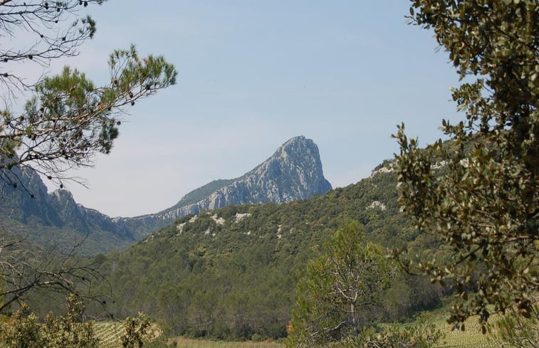 Natuurhuisje in Galargues