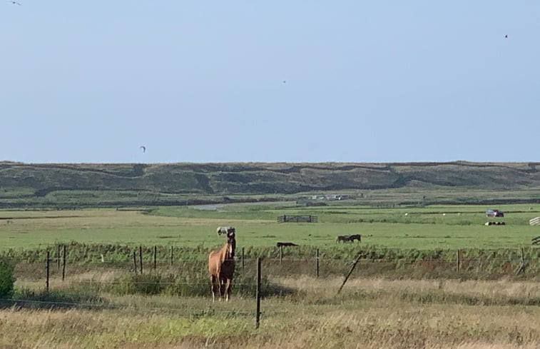 Natuurhuisje in Schoorl