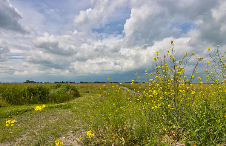 Natuurhuisje in Jislum