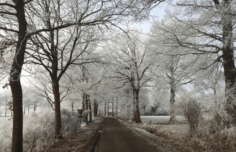 Natuurhuisje in Hellendoorn