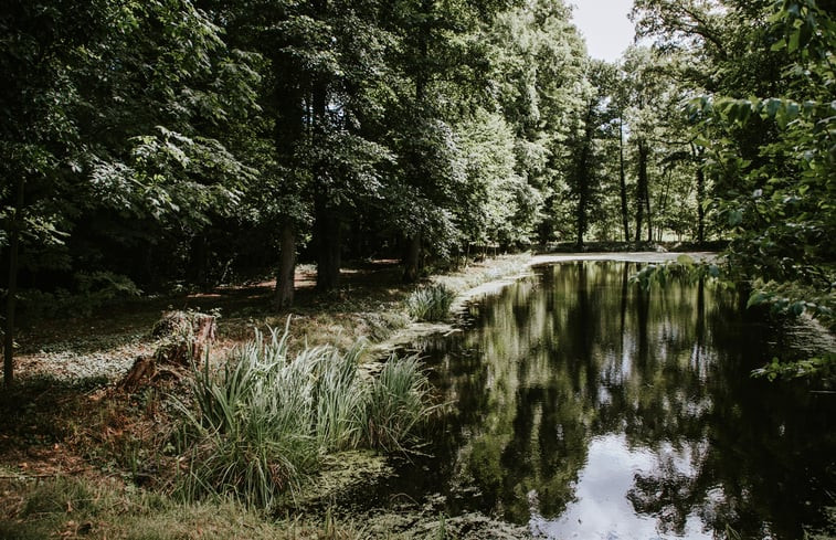 Natuurhuisje in Dannenwalde