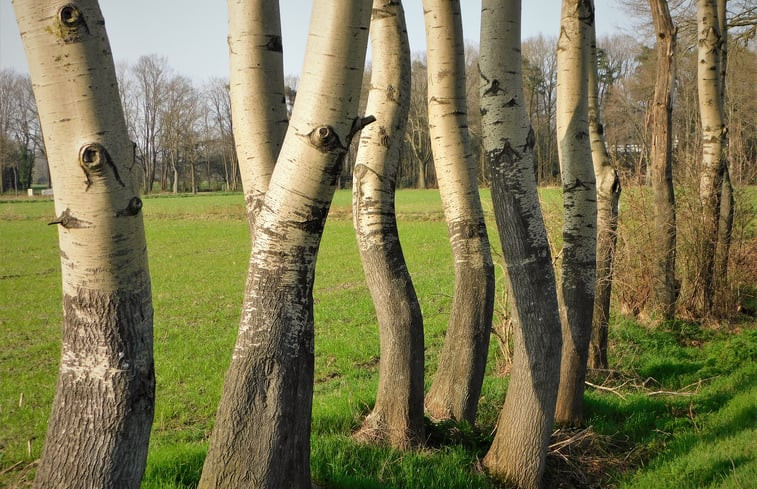 Natuurhuisje in Halle