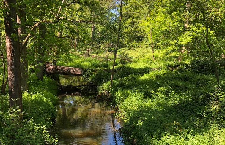 Natuurhuisje in Roggel