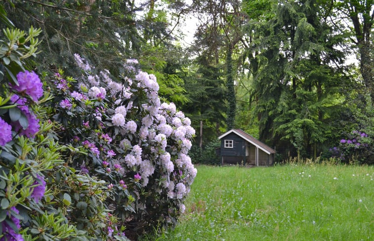 Natuurhuisje in Reusel-Lage Mierde