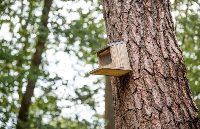 Natuurhuisje in Emst