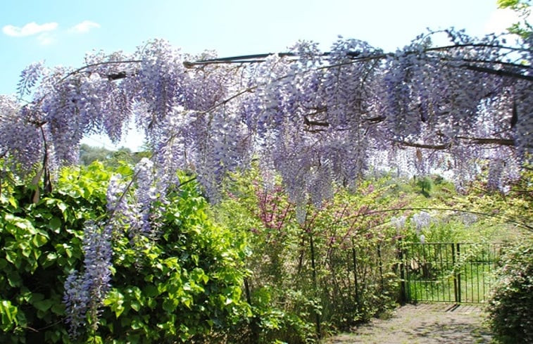 Natuurhuisje in Fonte Nuova