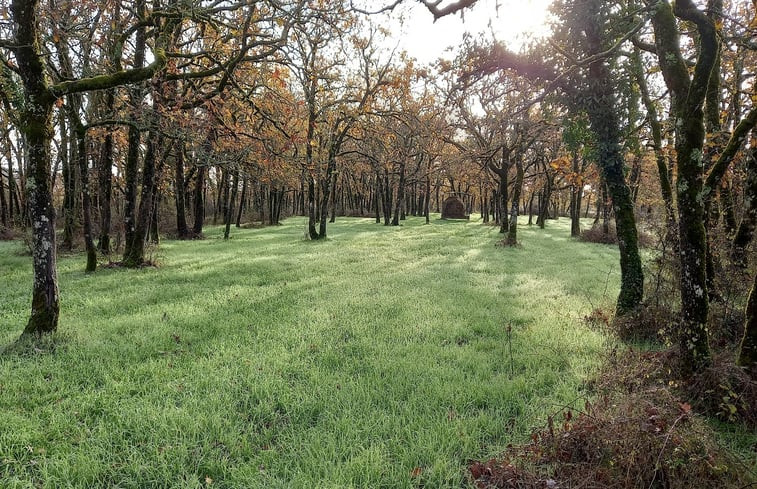 Natuurhuisje in Ginals