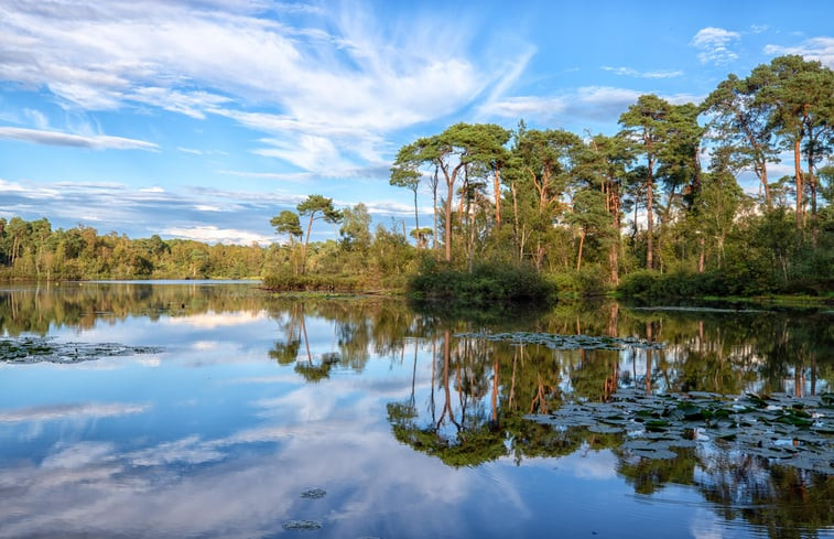 Natuurhuisje in Oisterwijk