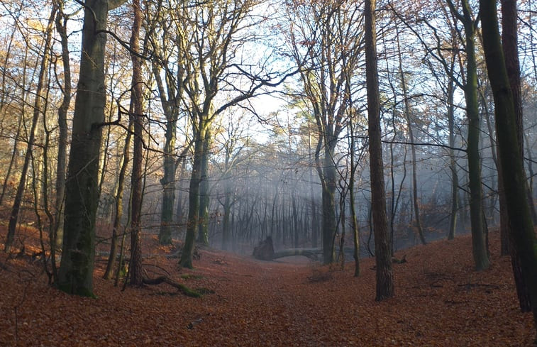 Natuurhuisje in Groesbeek