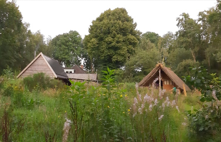 Natuurhuisje in Drouwenerveen