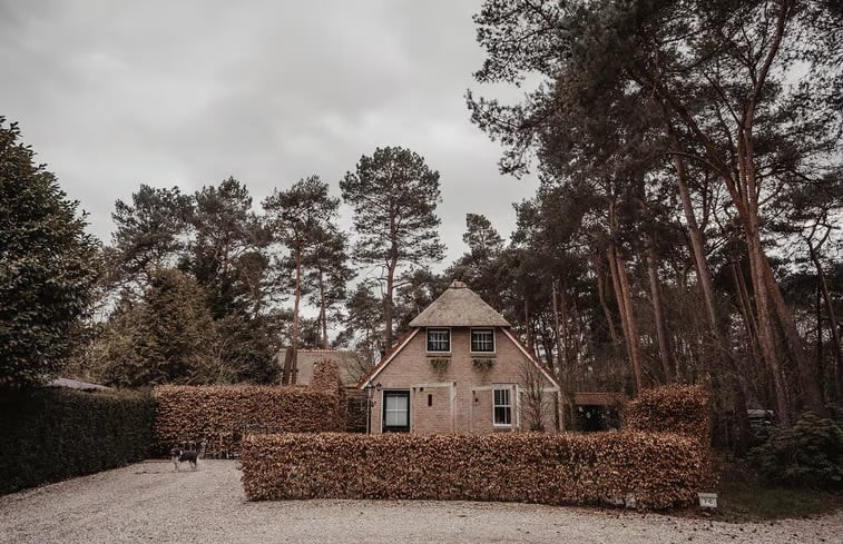 Natuurhuisje in Beerze