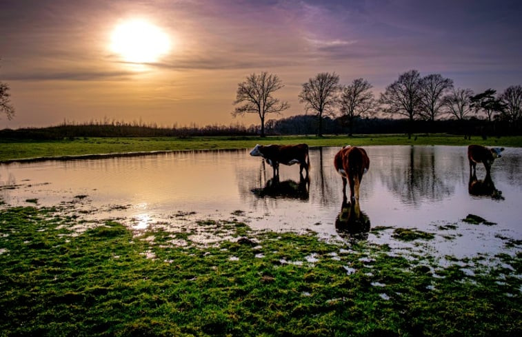 Natuurhuisje in Erm