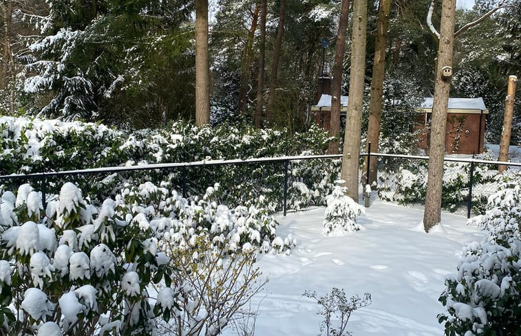 Natuurhuisje in Holten