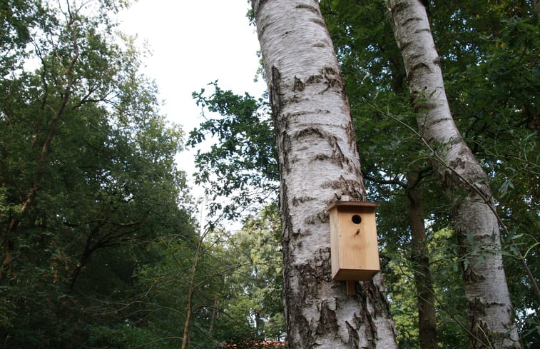 Natuurhuisje in Dalfsen