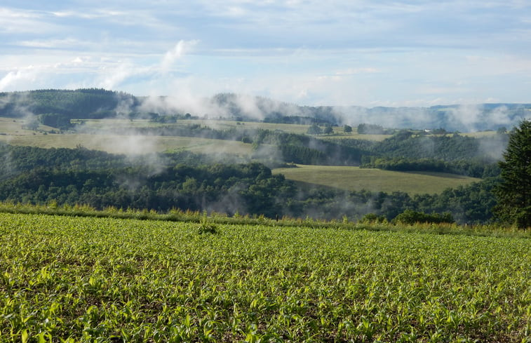 Natuurhuisje in La roche-en-ardenne