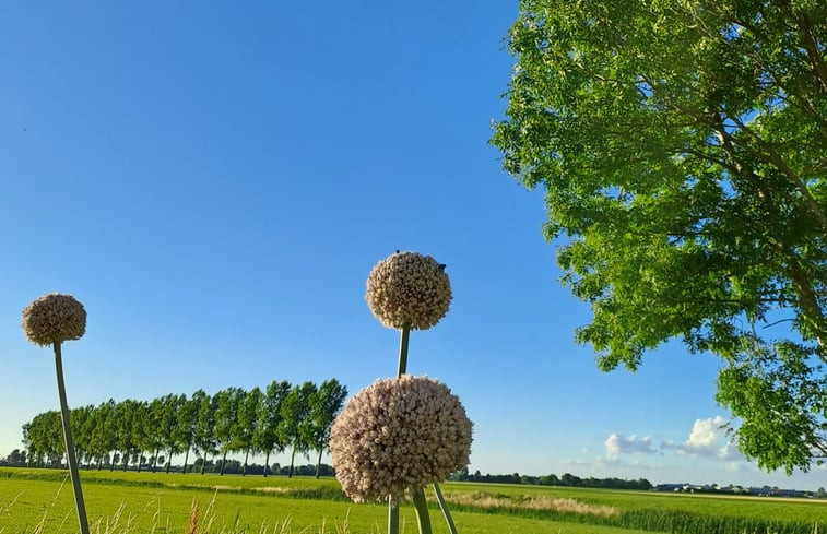 Natuurhuisje in Ooltgensplaat