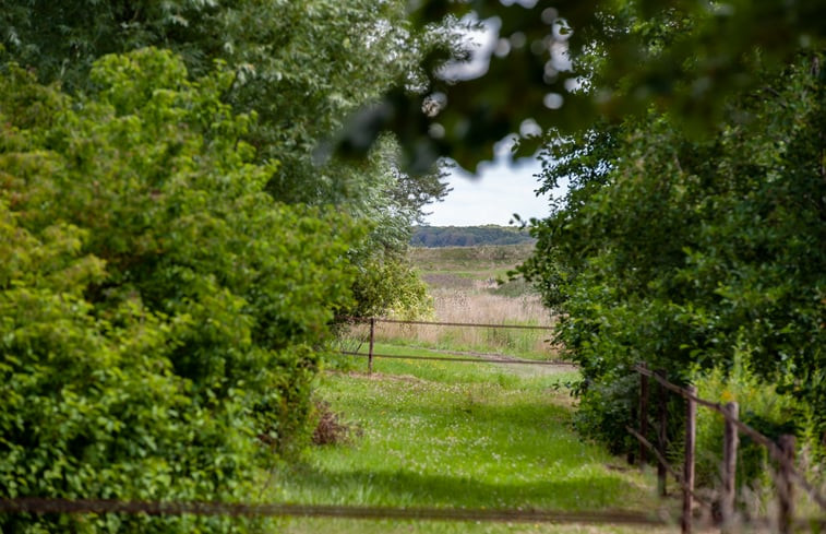 Natuurhuisje in Burgh- Haamstede