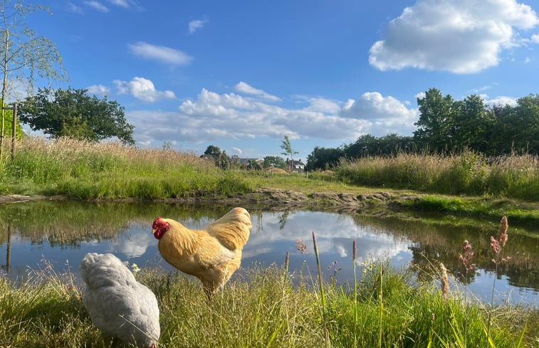 Natuurhuisje in Breda