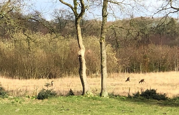 Natuurhuisje in Schipborg