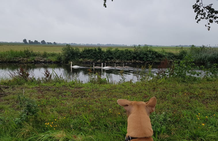 Natuurhuisje in Annerveenschekanaal