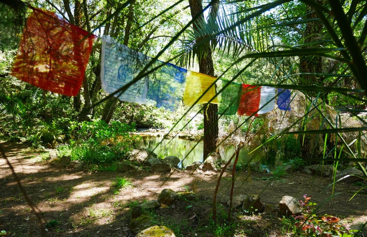 Natuurhuisje in Santo Antonio Das Areias