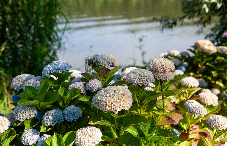 Natuurhuisje in Rumpt