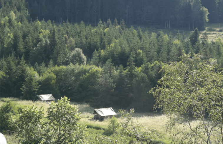 Natuurhuisje in Sain Bonnet le Chastel