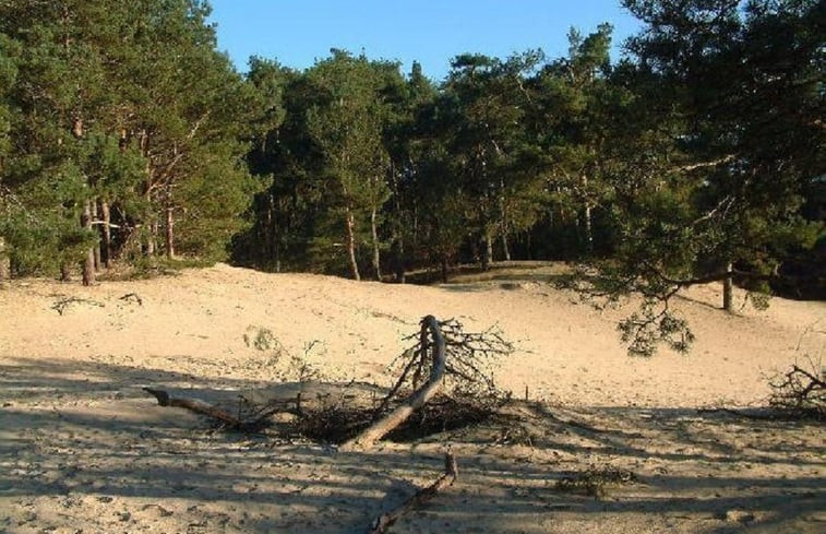 Natuurhuisje in Hulshorst