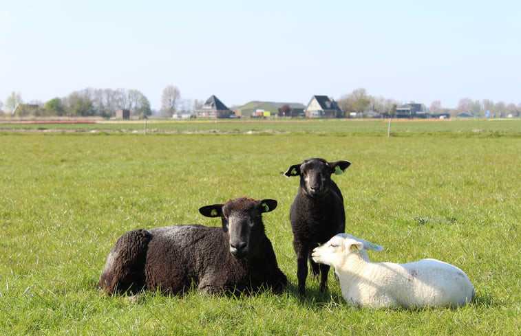 Natuurhuisje in Schagen