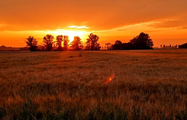 Natuurhuisje in Leermens