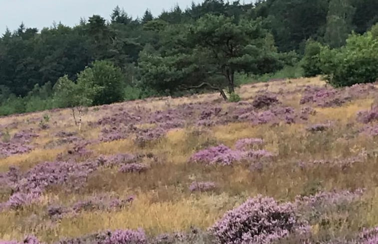 Natuurhuisje in Putten