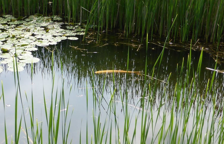 Natuurhuisje in Eext