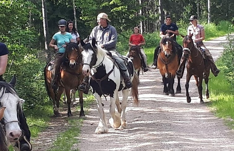 Natuurhuisje in Ekshärad