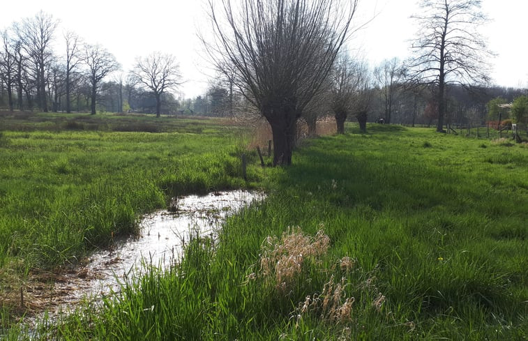 Natuurhuisje in Brummen