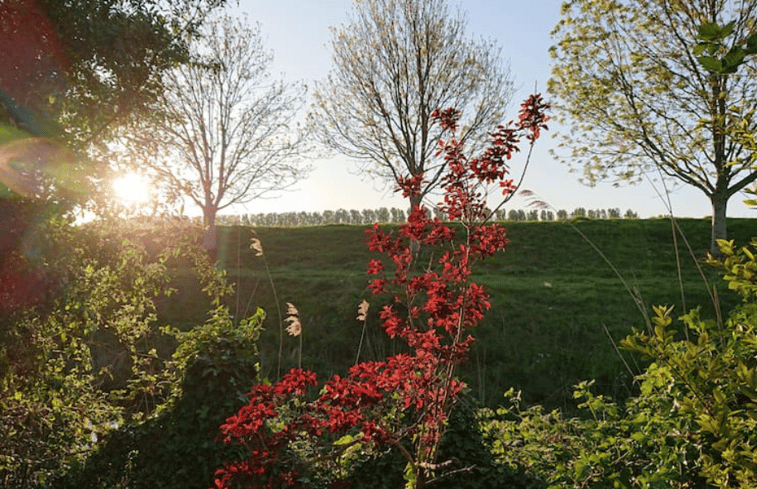 Natuurhuisje in Schoondijke