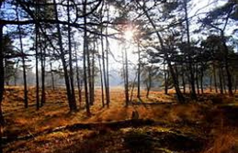 Natuurhuisje in Driebergen-Rijsenburg