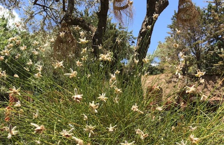 Natuurhuisje in Canillas de Albaida