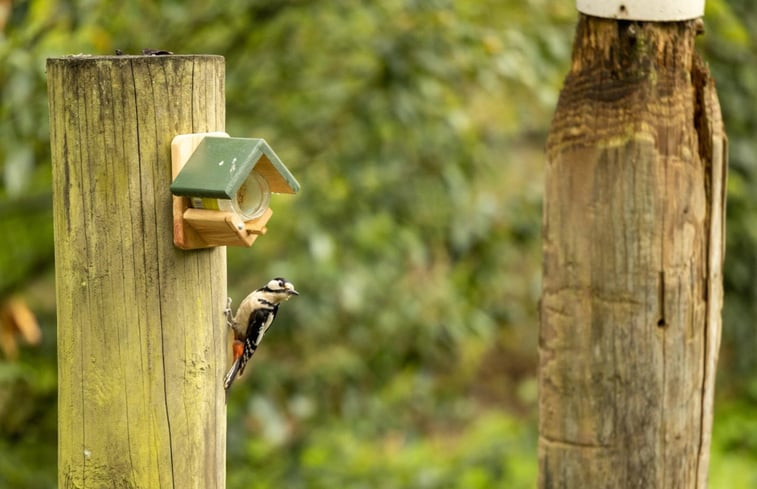 Natuurhuisje in Nunspeet