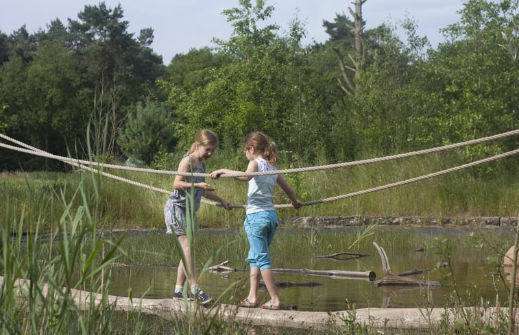 Natuurhuisje in Lemele